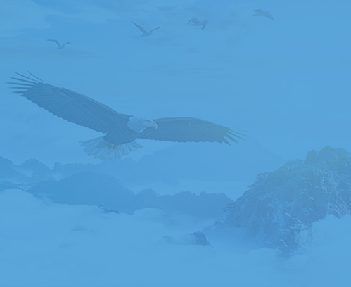 湖州網(wǎng)站建設(shè)，網(wǎng)絡(luò)推廣